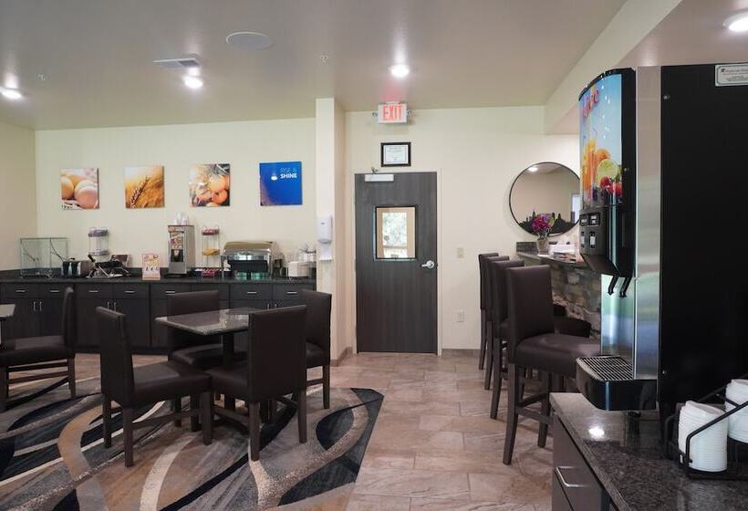 酒店 Comfort Inn & Suites