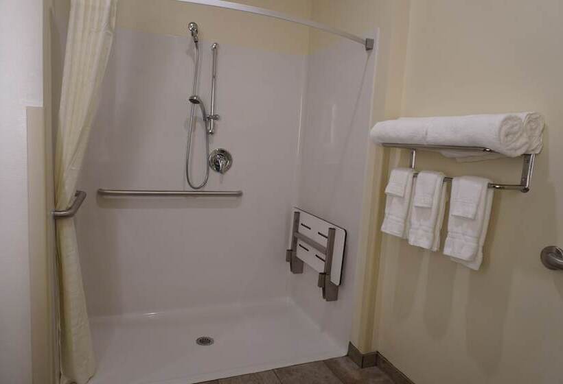 酒店 Comfort Inn & Suites