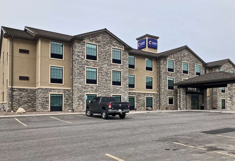 酒店 Comfort Inn & Suites