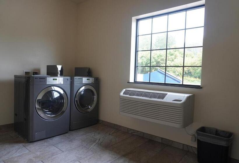 酒店 Comfort Inn & Suites