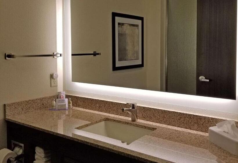 酒店 Comfort Inn & Suites