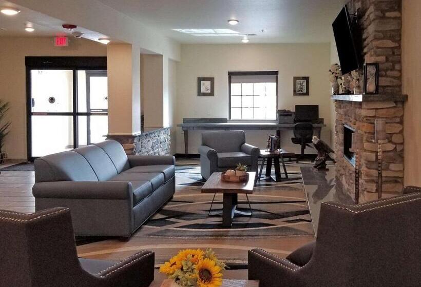 酒店 Comfort Inn & Suites