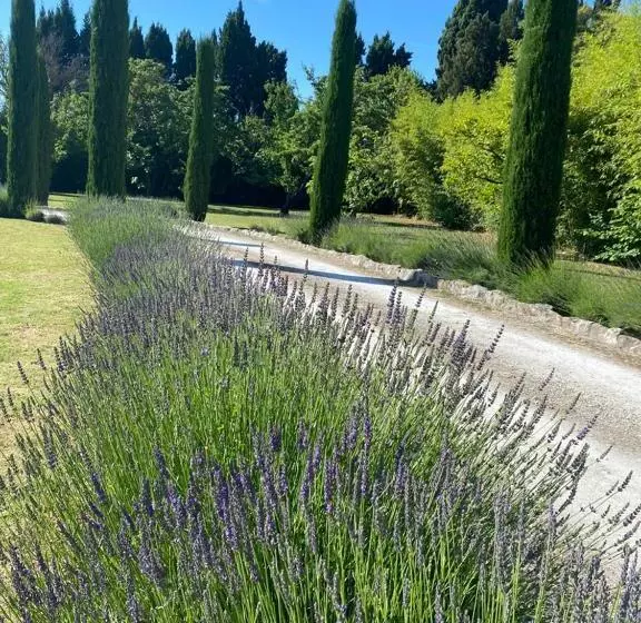 Majatalo Mas Des Bambous