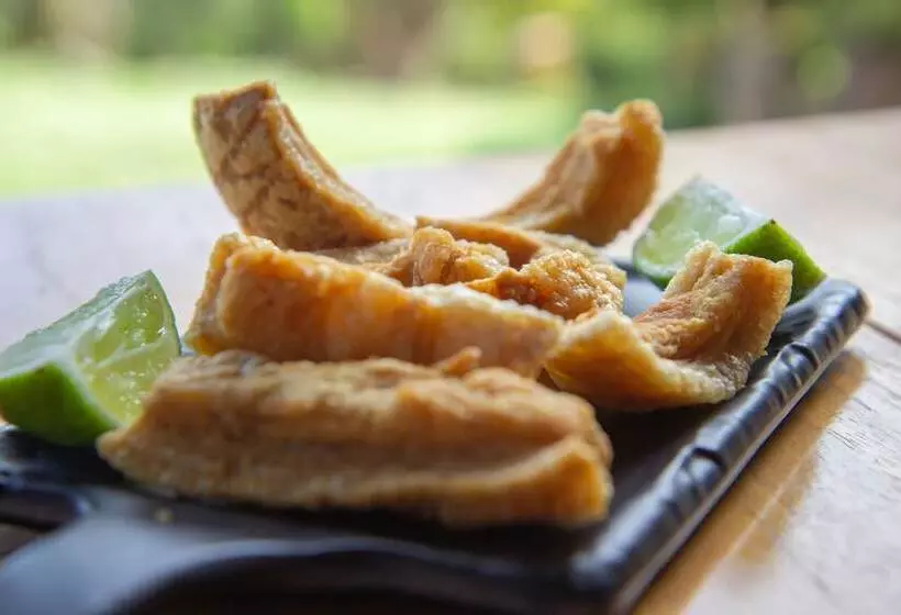 ペンション Pousada Vitória