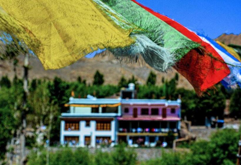 Pensione Zeejeed Palace