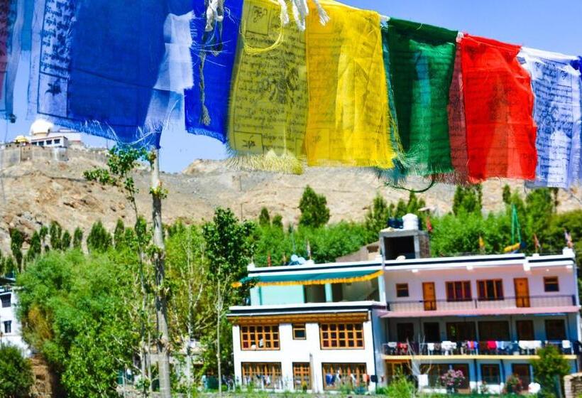 Pensione Zeejeed Palace