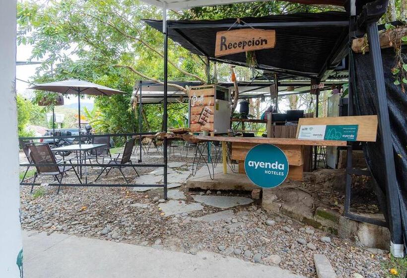 تختخواب و صبحانه Ayenda Flora Jaguar