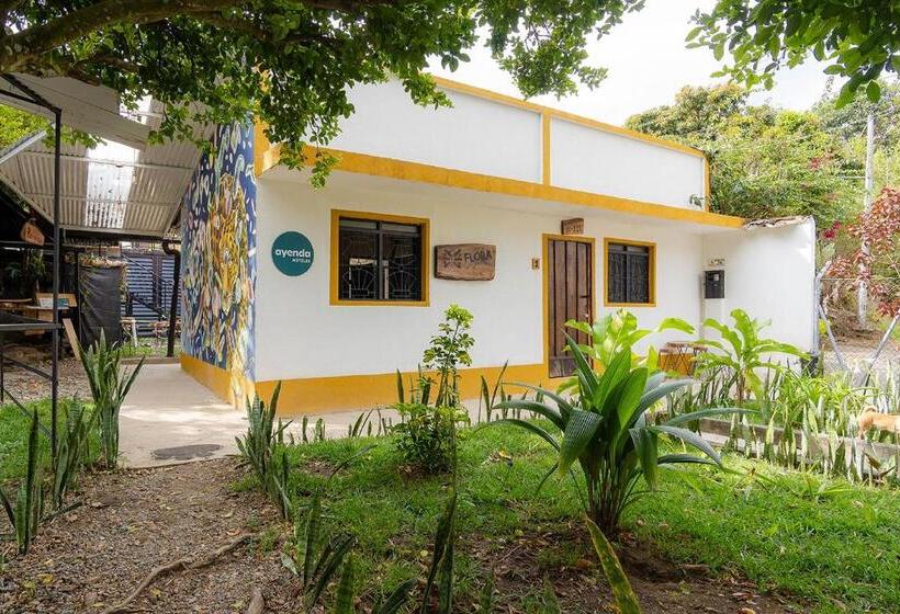 تختخواب و صبحانه Ayenda Flora Jaguar