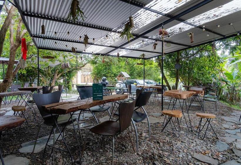 تختخواب و صبحانه Ayenda Flora Jaguar