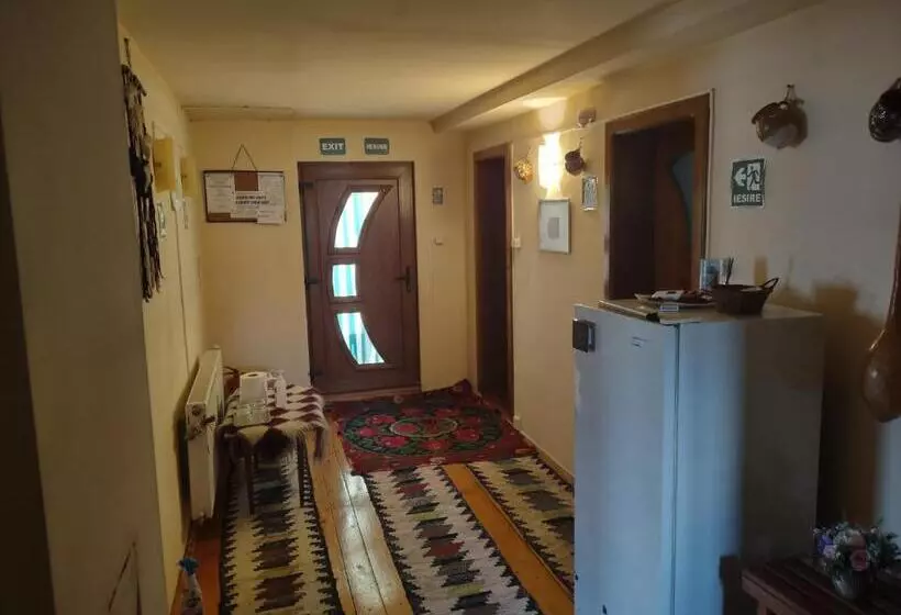 Pensiunea Ghiță Vasile