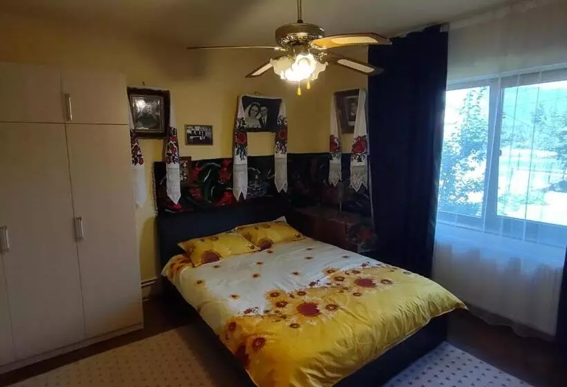 Pensiunea Ghiță Vasile