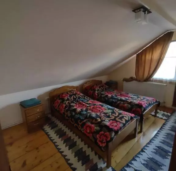 Pensiunea Ghiță Vasile