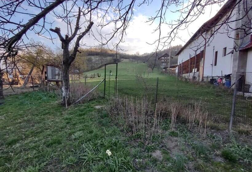 Pensiunea Ghiță Vasile