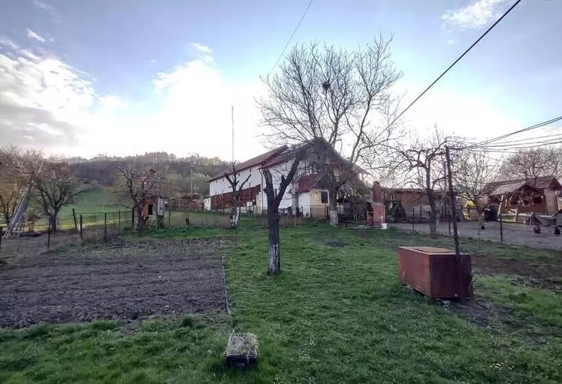 Pensiunea Ghiță Vasile