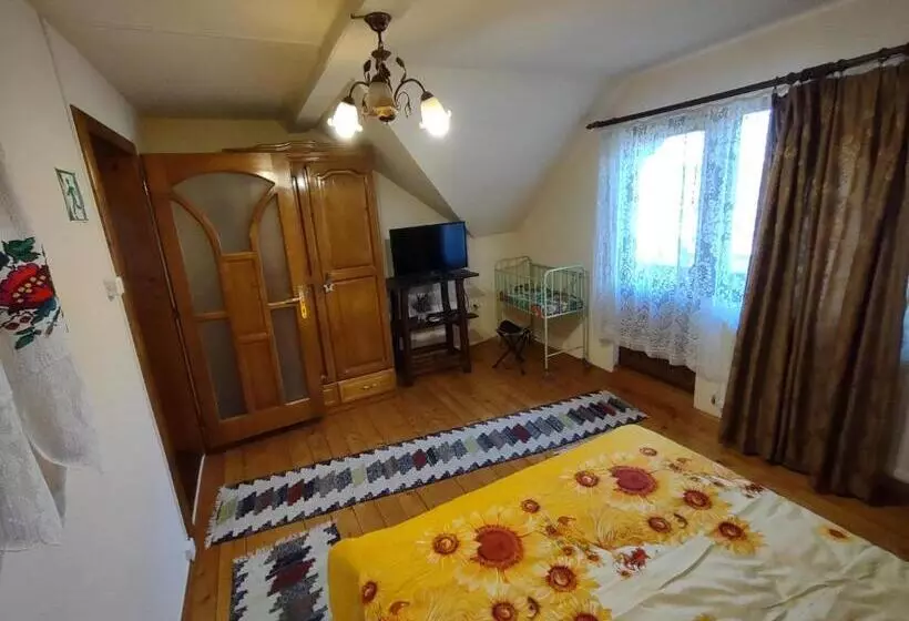 Pensiunea Ghiță Vasile