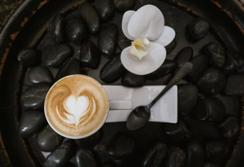 Bed and Breakfast Hc6 Boutique Marbella   Adults Only