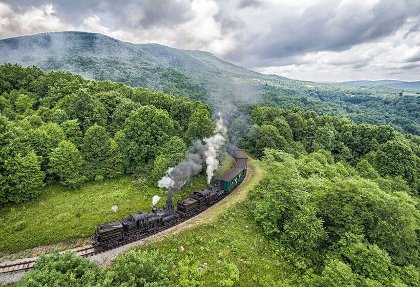 ベッドアンドブレックファースト Morning Glory Inn