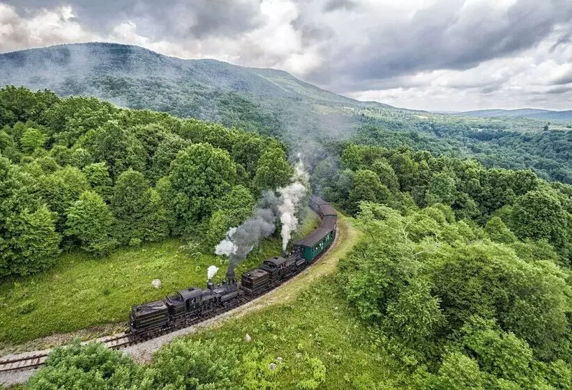 ベッドアンドブレックファースト Morning Glory Inn