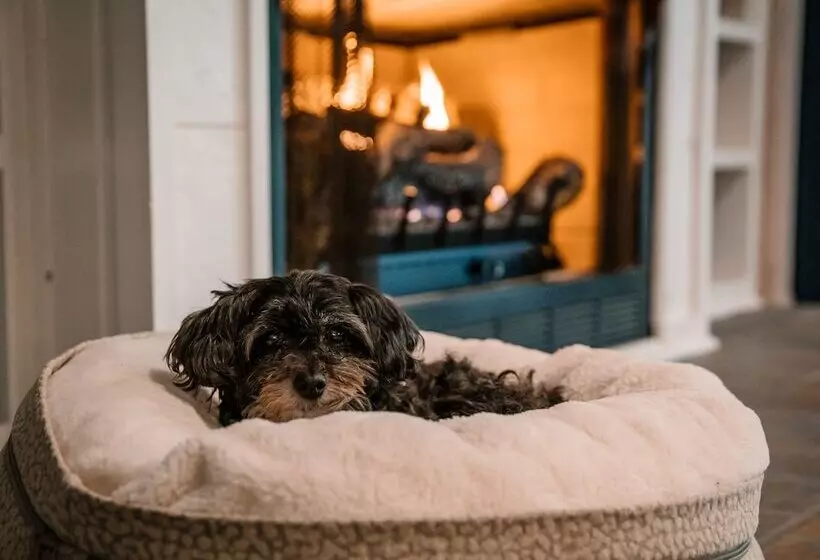 ベッドアンドブレックファースト Morning Glory Inn