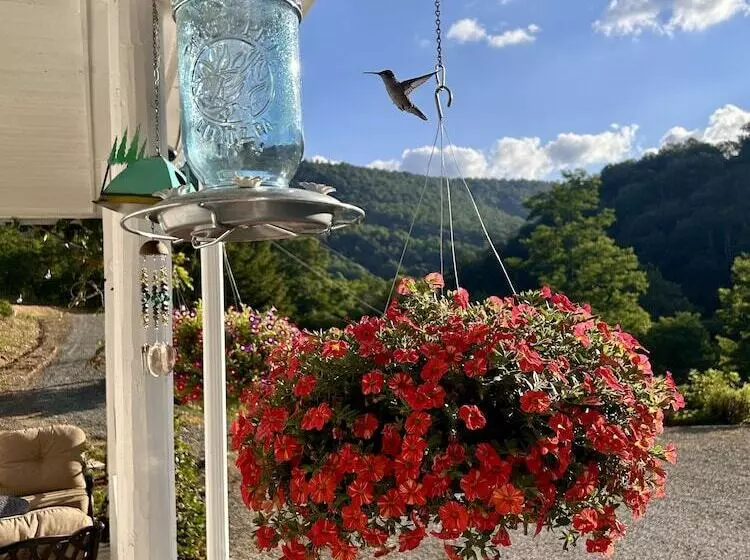 ベッドアンドブレックファースト Morning Glory Inn