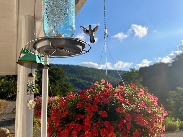 ベッドアンドブレックファースト Morning Glory Inn