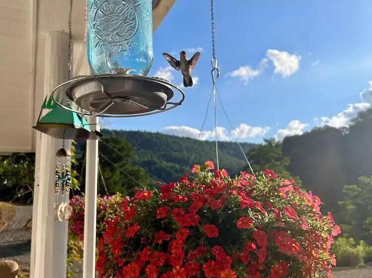 ベッドアンドブレックファースト Morning Glory Inn