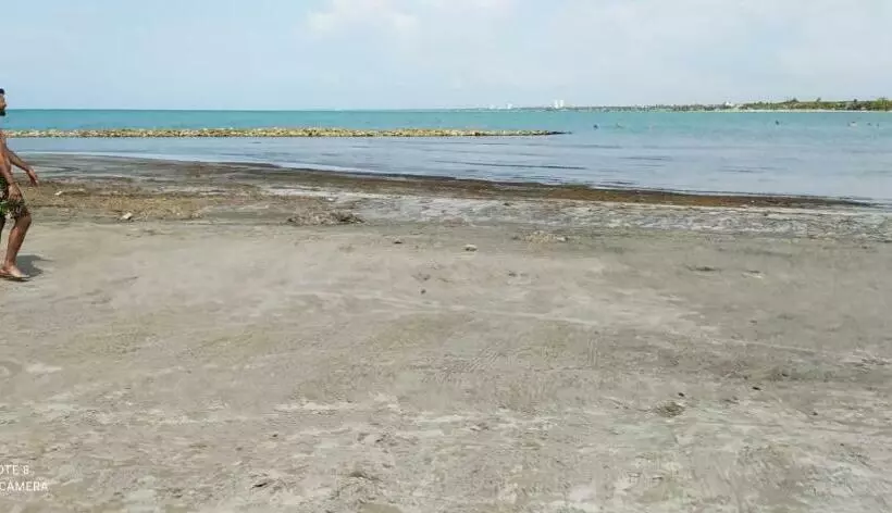 ペンション Hostal Coveñas Inn