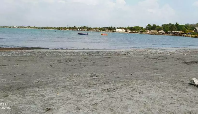 ペンション Hostal Coveñas Inn