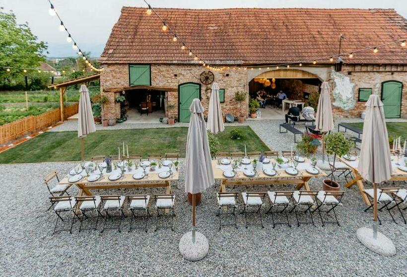 ペンション Annă Dragă