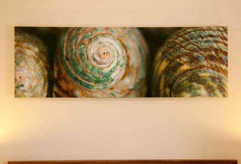 Byron Motor Lodge Motel