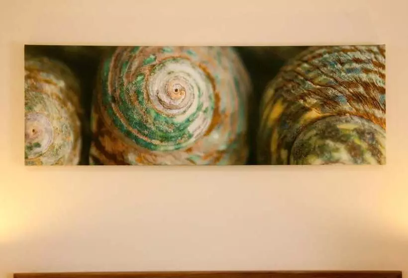 Byron Motor Lodge Motel