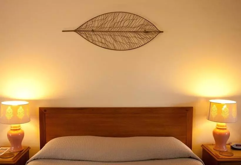 Byron Motor Lodge Motel