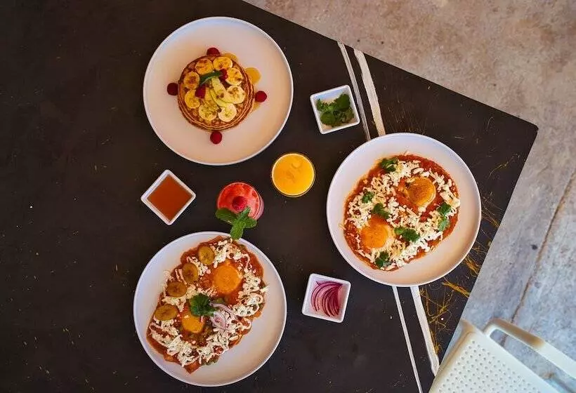 Cache Hotel Boutique Adults Only