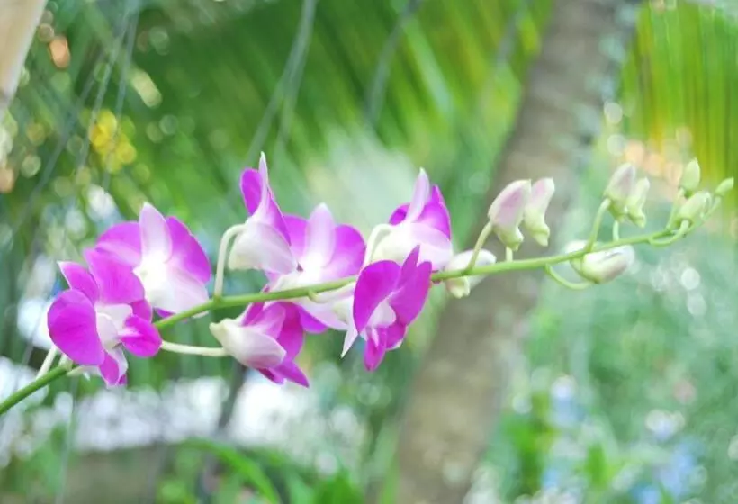 فندق Au Cabaret Vert
