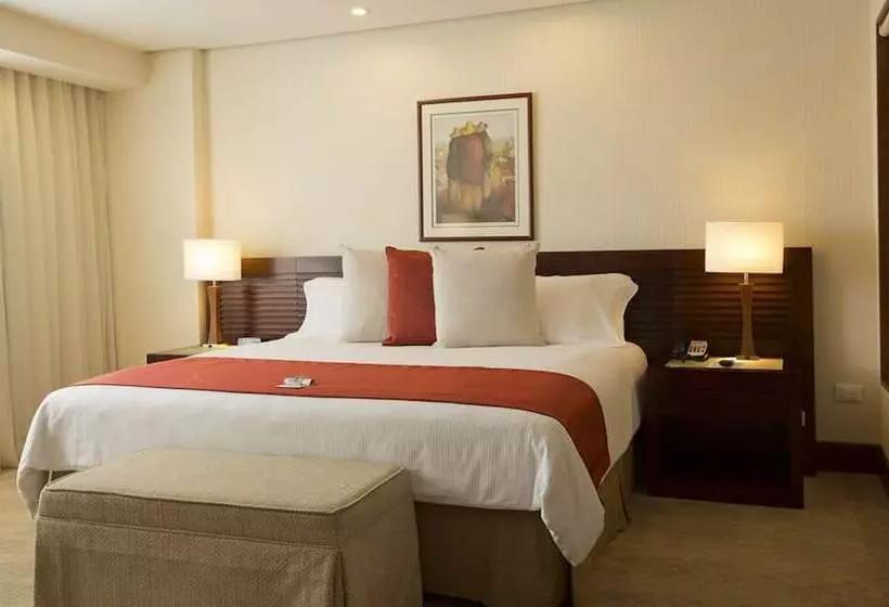 هتل Eurobuilding Express Barinas