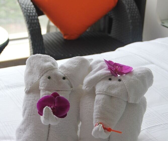 בית מלון כפרי Kailida International