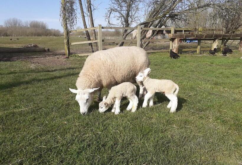 민박 The Byre North End Farm