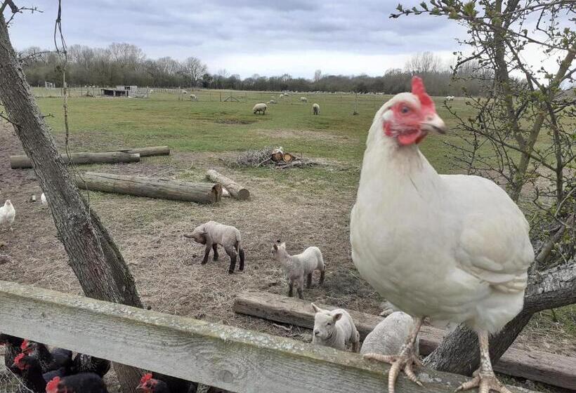 민박 The Byre North End Farm