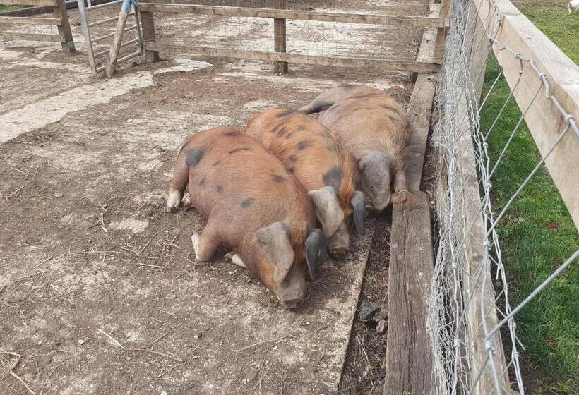 민박 The Byre North End Farm