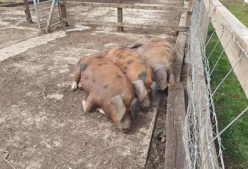Aamiaismajoitus (B&B) The Byre North End Farm