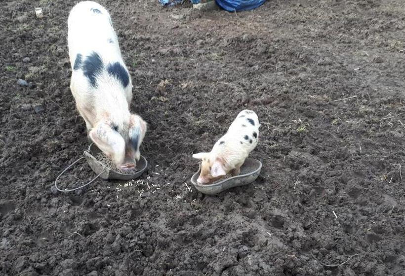 민박 The Byre North End Farm