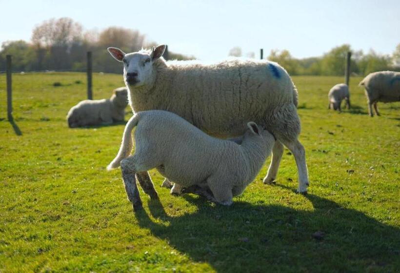 민박 The Byre North End Farm