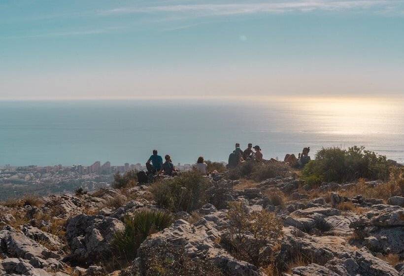 Coeo Pod Hostel Part Of Coeo Experience