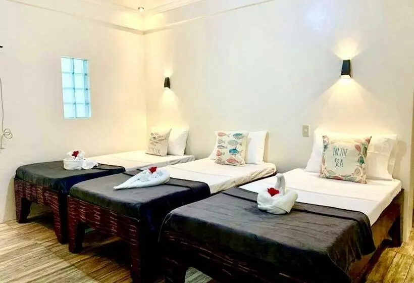 Hotelli Pamanilao And Padoy S Dive Camp