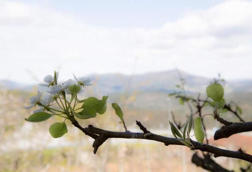 پانسیون Casas Do Paço Casas De Férias
