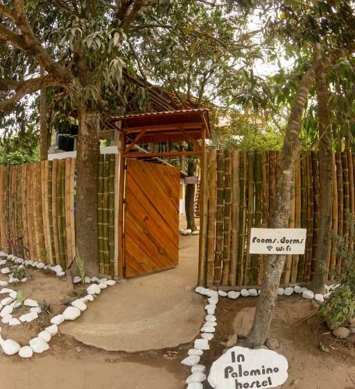 پانسیون Hostel In Palomino