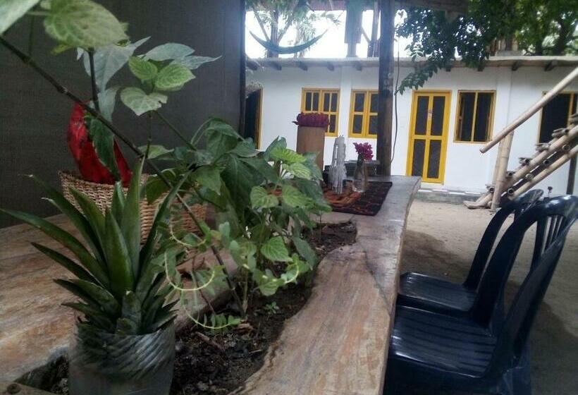 پانسیون Hostel In Palomino