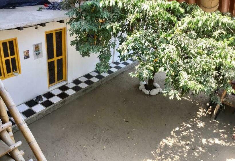 پانسیون Hostel In Palomino