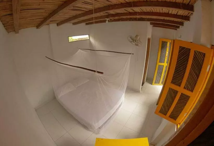 پانسیون Hostel In Palomino