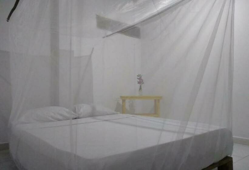 پانسیون Hostel In Palomino